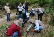 Fundação APAEB promove curso sobre Quintais Produtivos Agroflorestais Sintrópicos