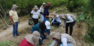 Fundação APAEB promove curso sobre Quintais Produtivos Agroflorestais Sintrópicos