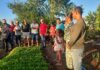 Fundação APAEB inicia entrega de kits para implantação de quintais produtivos do Projeto Semeando Renda